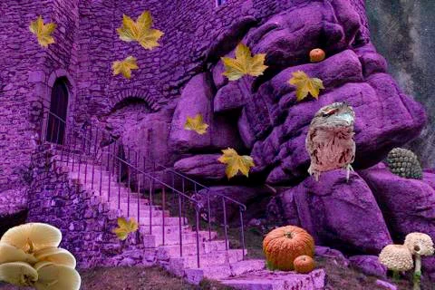 Rock Fantasy illustration with autumnal elements Illustrazione stock