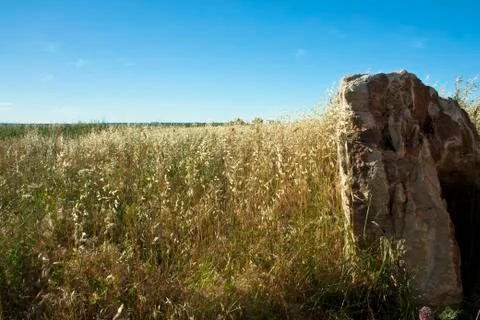 Rock in a Field Stock Photos