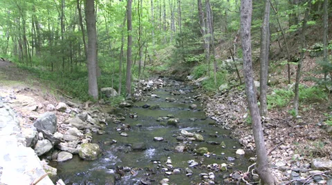 Rock-filled stream (3 of 7) Stock Footage 32030155