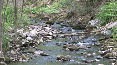 Rock-filled stream (4 of 7) Video stock 32030517