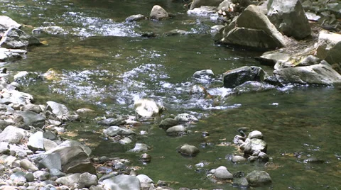 Rock-filled stream (6 of 7) Stock Footage 32030543
