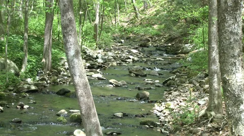 Rock-filled stream (7 of 7) Stock Footage 32030564