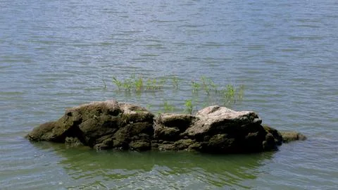 A rock is floating in the water Stock Photos