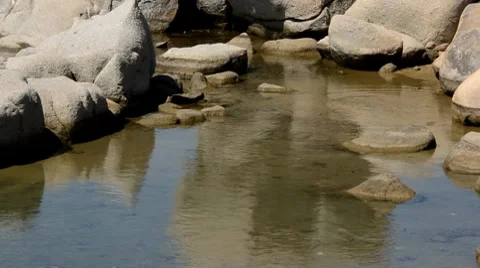 Rock Video stock 7761616