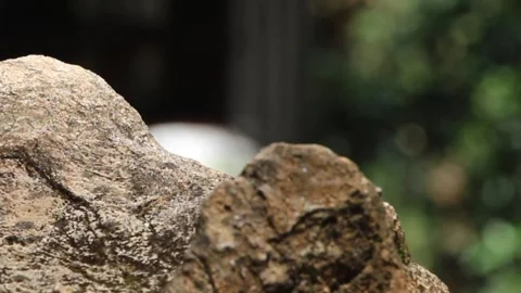 ROCK Stock-Footage 250980859