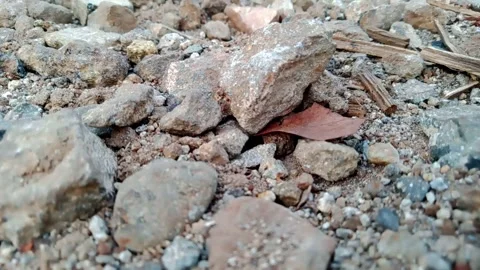 Rock Stock Footage 290918767