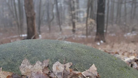 Rock foreground to dead forest hill creepy Stock Footage 104463502