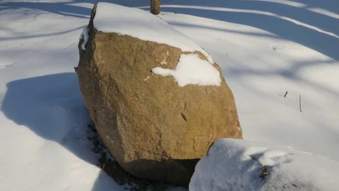 Rock in the Forest Covered in Snow Stock Footage 85060087