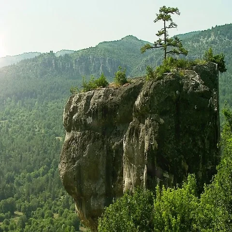 Rock in forest Stock Footage 69545148