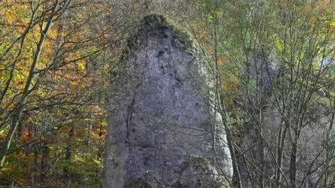 Rock in the forest Stock Footage 226249811