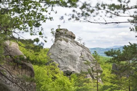 Rock in a Forest Landscape 写真素材