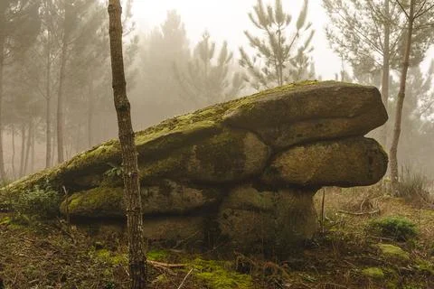 Rock in the forest Stock Photos