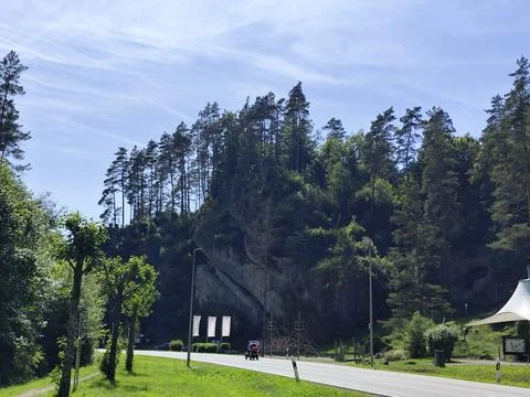 Rock in forest Stock Photos