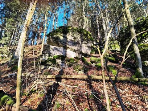 Rock in forest Foto stock