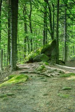 Rock form on the forest hill Foto stock