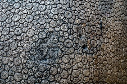Rock formation background texture closeup Stock Photos