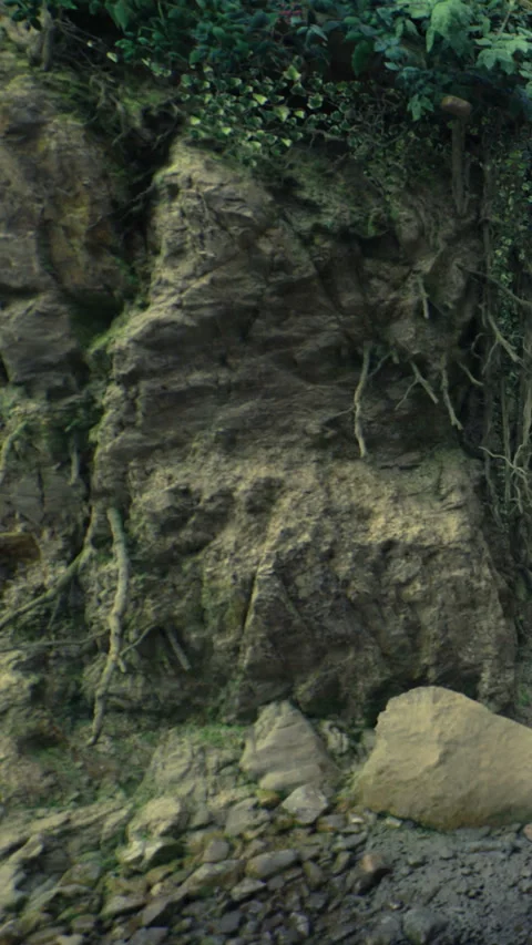 Rock formation at a beach with plants and roots in the background Stock Footage 331684265