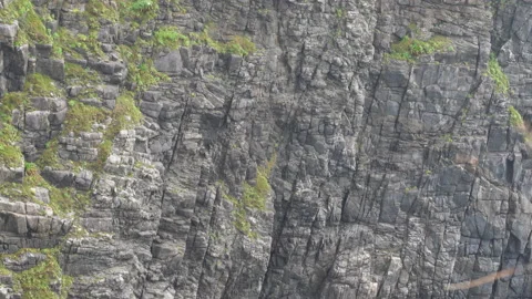 Rock formation at Cape Ashizuri Stock Footage 158657392