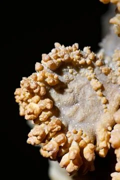 Rock formation close up Stock Photos