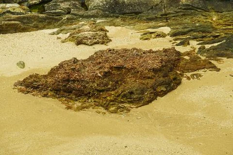 Rock formation from corals on the sand Stock Photos