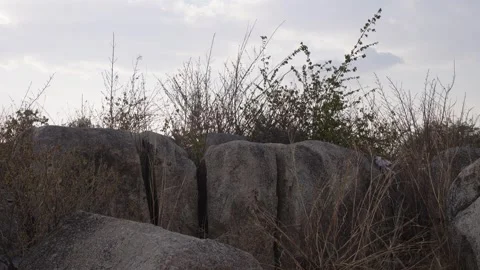 Rock Formation with Dry Vegetation Stock Footage 335801962