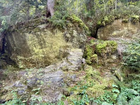Rock formation on the edge of the forest Stock Photos