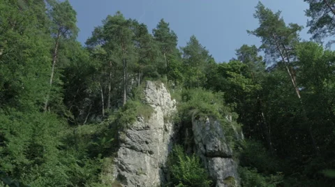 Rock formation in the forest 001 Video stock 63781219