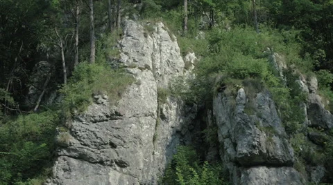 Rock formation in the forest 003 Video stock 63782910