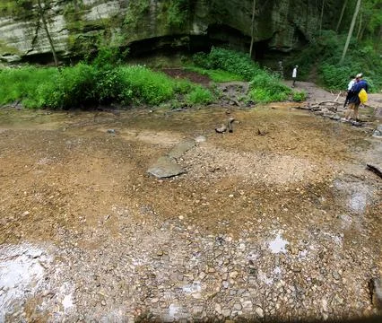 Rock Formation in the Forest Stock Photos