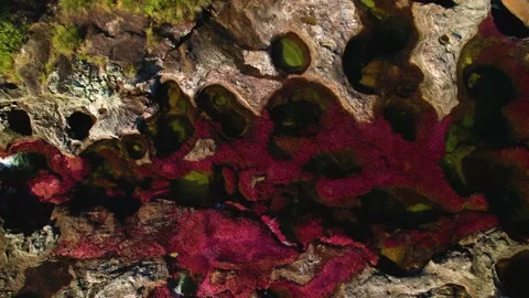 Rock formation formed by the Caño Cristales River with its red algae, Video stock 196178682