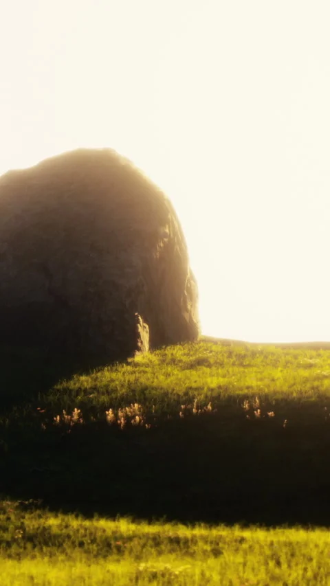 Rock formation in grassy area at sunset near the coast Stock Footage 337974023