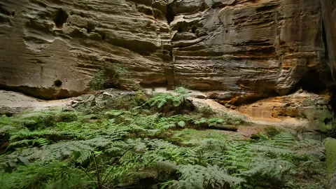 Rock formation know as ( The Amphitheater ) Carnarvon Gorge NationalPark,QLD Stock Footage 140607950