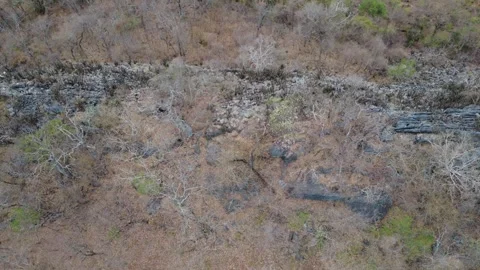 Rock formation with a lunar-like appearance. Video stock 317500900