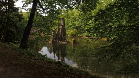 Rock formation in the middle of the lake surrounded with green trees Stock Footage 116237598