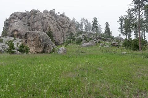 Rock Formation in the mist in Custer State Park, South Dakota, USA Stock-Fotos