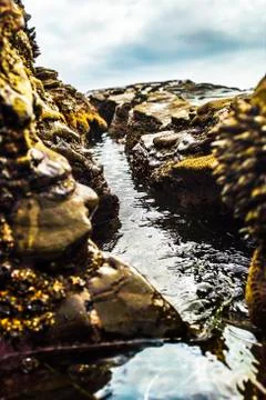 Rock formation Stock Photos