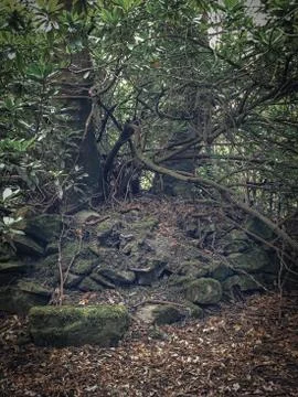 Rock formation Foto stock