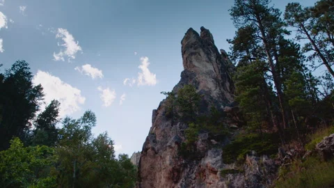 Rock Formation in Pine Forest Stock Footage 311951339