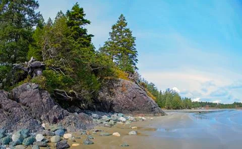 Rock formation with pine trees in Long Beach, Tofino, BC, Canada Stock Photos