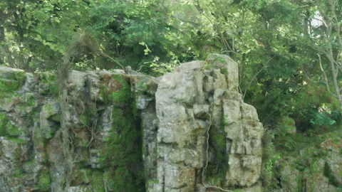 Rock formation surrounded by greenery in a forest setting Stock Footage 343531007
