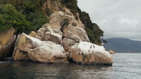 Rock formation surrounded by water numerous birds resting Stock Footage 107919932