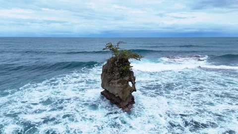 Rock formation with tree in crashing ocean waves Stock Footage 339119039