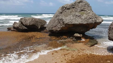 Rock formations and cresting turquoise waves at Bathsheba, Barbados Stock Footage 152668183