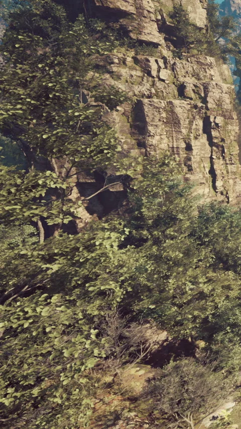 Rock formations and greenery in a natural setting during the day Stock Footage 339397269