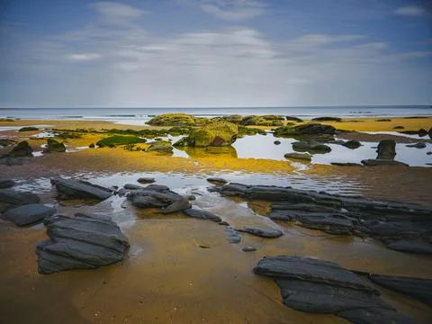 Rock formations and tidal pools on sandy beach with green algae under blue sky Stock Photos