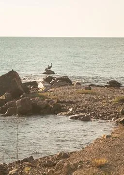 Rock formations on the beach at sunset Foto stock