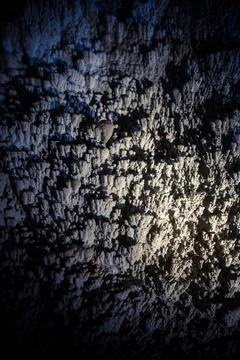 Rock formations on a cave's wall Stock Photos