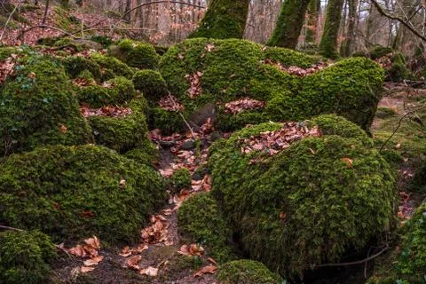 Rock formations in Devil's Canyon, Stock Photos