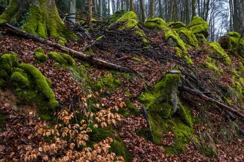 Rock formations in Devil's Canyon, Stock Photos