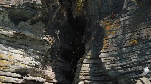 Rock formations know as the Pancake Rocks at the town of Raglan,New Zealand Stock Footage 142276976